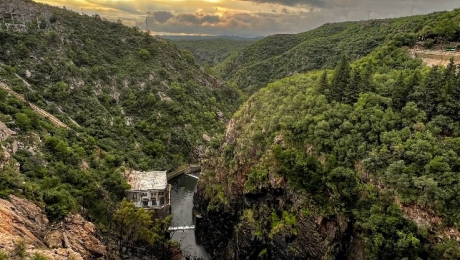 COLA DEL DIQUE LA VIÑA